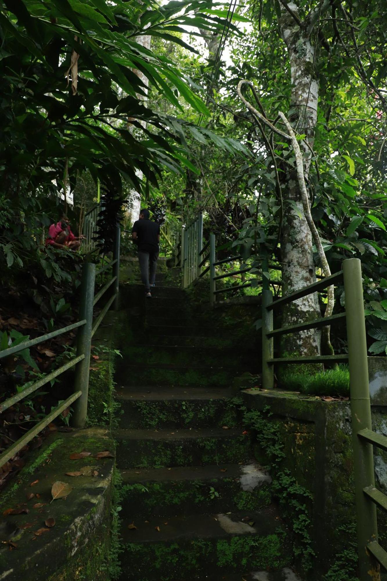 Nature Villa Anachal Екстериор снимка